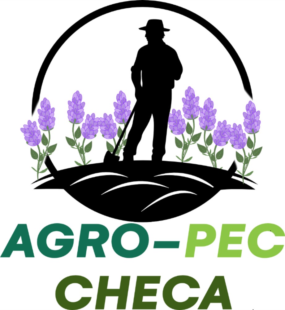 Logo checa-sandamian.com